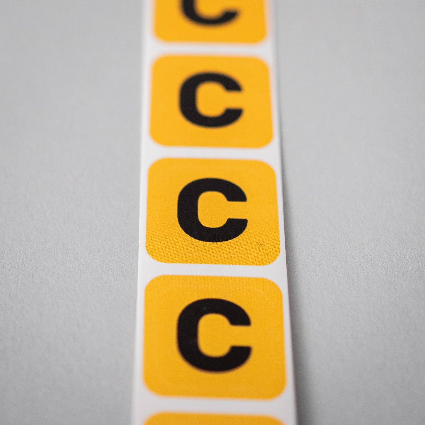 Camera Day Sticker Set A Cam & B Cam