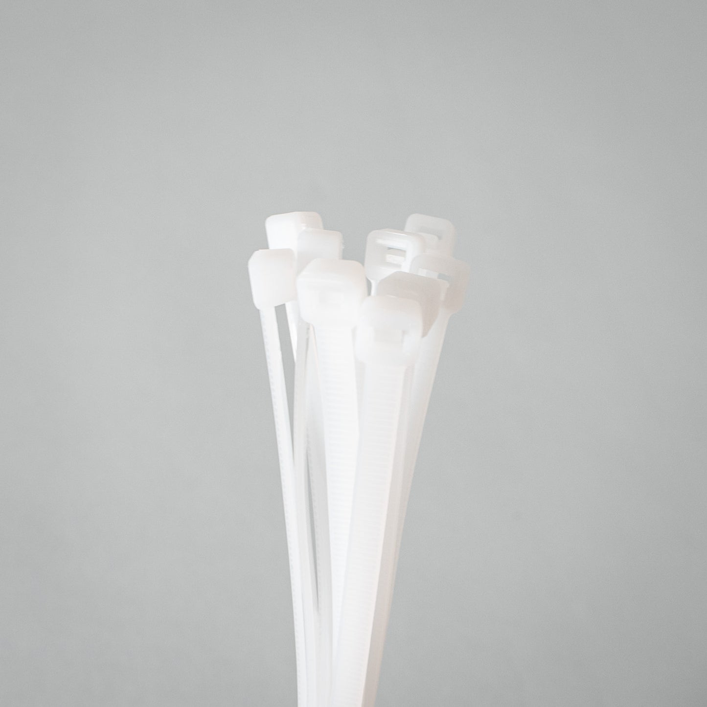 Kabelbinder Trasparent - 300 mm x 4,8 mm - 10 Stück - setbedarf