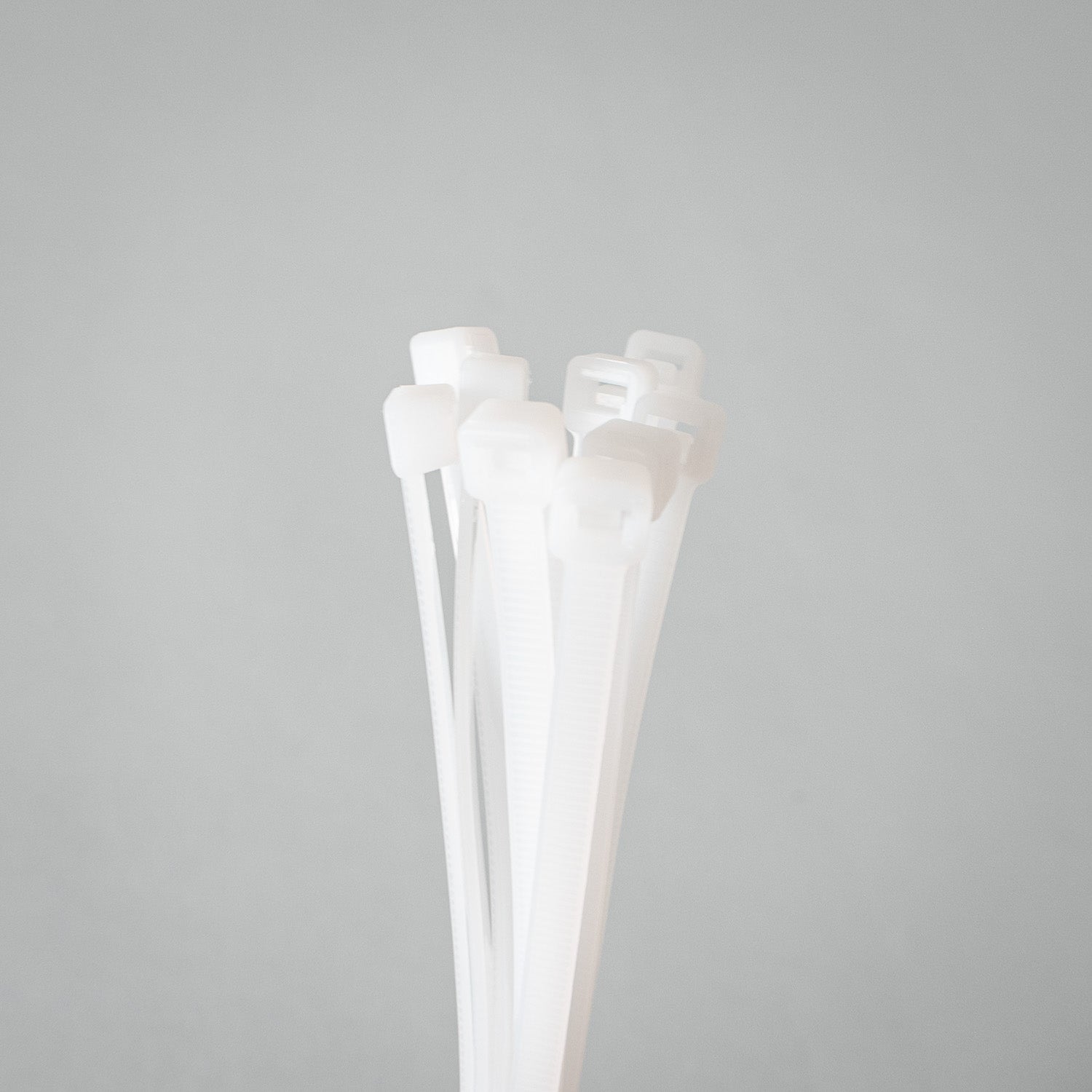 Kabelbinder Trasparent - 300 mm x 4,8 mm - 10 Stück - setbedarf